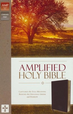 Amplified Thinline Holy Bible--bonded leather, burgundy ZONDERVAN