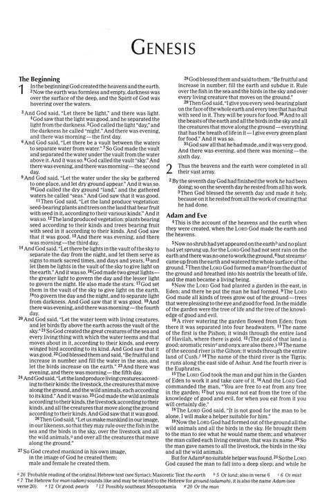 NIV Economy Bible, Tradepaper Outreach
