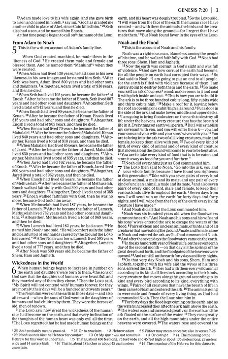 NIV Economy Bible, Tradepaper Outreach