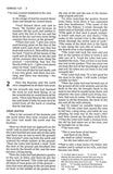 NIV Thinline Bible Large Print Pink, Imitation Leathe