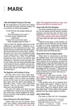 NIV Thinline Bible Large Print Pink, Imitation Leathe