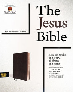 NIV Comfort Print Jesus Bible--soft leather-look, black (indexed)