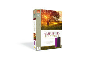 Amplified Holy Bible, Leathersoft, Dark Orchid/Deep Plum