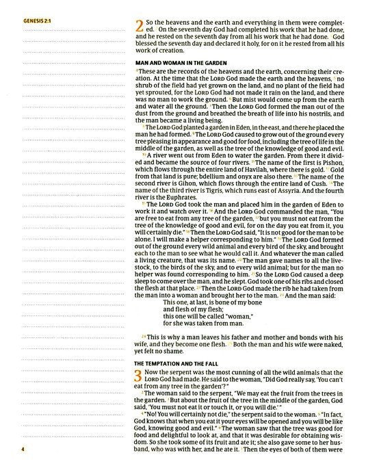 CSB Notetaking Bible, Hosanna Revival Edition--cloth over boards, lake