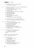 The Message // REMIX 2.0--soft leather-look, zebra print By: Eugene H. Peterson