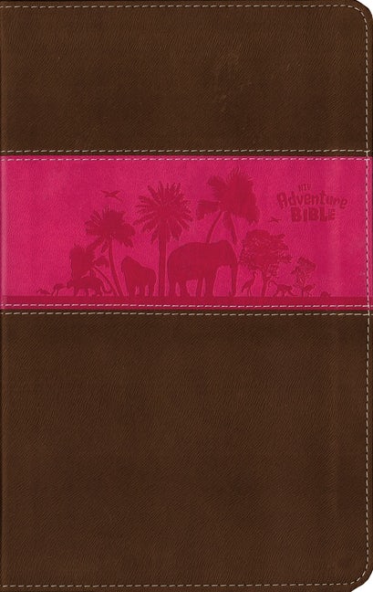 NIV, ADVENTURE BIBLE, IMITATION LEATHER, PINK/BROWN, FULL COLOR