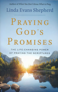 Praying God's Promises: The Life-Changing Power of Praying the Scriptures - Linda Evans Shepherd