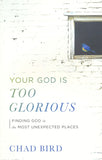 Your God Is too Glorious By Chad Bird