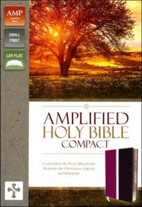 Amplified Compact Bible Dark Orchid/Deep Plum